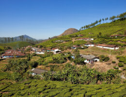 vilage